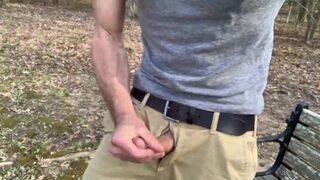 Public Park hard cock Jerk-off and Cum. Nice squirt. Verbal - 14 image