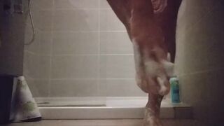 Axelange this shower well the feet