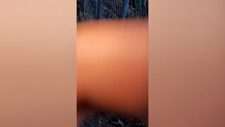 Buena Vista Park Cruising - 4 image