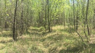 In Public on the Road Changed Clothes and Started Sucking my Cock