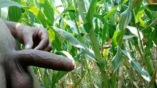 Indian Horny Man Playing with Big Cock