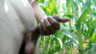 Indian Horny Man Playing with Big Cock - 2 image