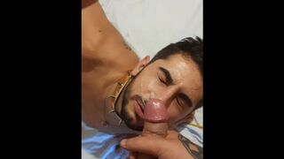 Slave Sucks my Cock and Cum Swallow