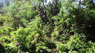 Hey ebony glamorous man jerk your cock until this chab squirts! - 1 image