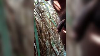 Once again all the goods in the sugarcane field