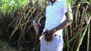 The giant stallion is wixxt in the field - 3 image