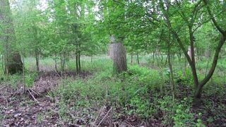 OUTDOORS FOOTBALL KIT WALK TO NAKED - 13 image