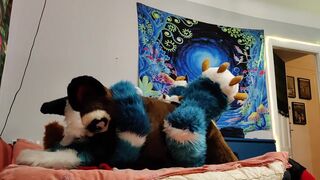 Dog Bangs a Fox and Cums on his Face