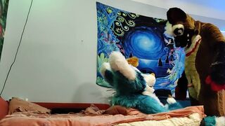 Dog Bangs a Fox and Cums on his Face