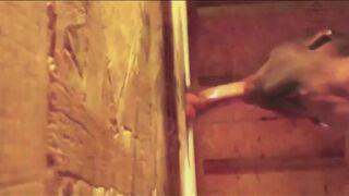 Schlong engulfing and bareback