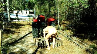 Barn Discover Antique - 4 image