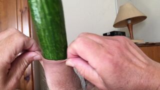 Foreskin cucumber Sunday - two of 9 - 1 image