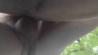 new sodomy in the forest