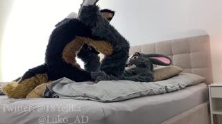 Hot German Shepherd Fucks Cute Gray Submissive Bunny (Murrsuit Porn) - 2 image
