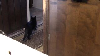 Grooming After Cleanup Shower After Shooting Hot Cum