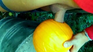 Twink is hard fucking a pumpkin in the garden - 9 image
