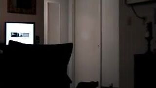 Vinnie does a Hot PVD Boy - 1 image