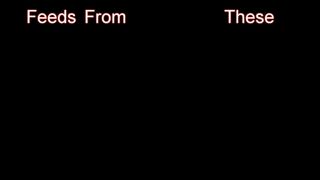 Zak drops to his knees & swallows Nics uncut cock.