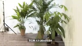 Let's Celebrate a Big X Birthday, All Star Orgy