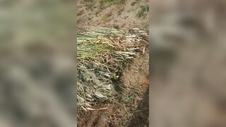 Fat boy fucking video - 10 image