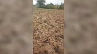 Fat boy fucking video - 13 image