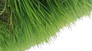 Desi khet mein muth garam - 11 image