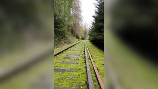 Abandoned train tracks? Including pissing. - 10 image