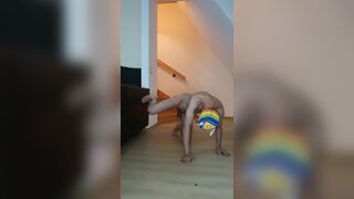 I couldn't hold it anymore. - 14 image