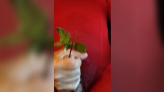 CD in nylon pantyhose sounding my cock.