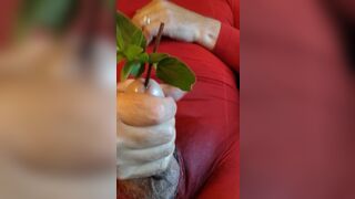 CD in nylon pantyhose sounding my cock.