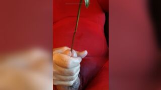 CD in nylon pantyhose sounding my cock.