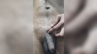 A virgin boy enjoyed his first sex - 14 image