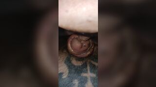 Jerking off the cock head and shaft and finger fucking in the urethra that has as split in half - 4 image