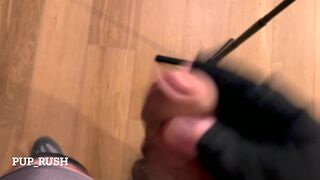 horny muscle pup jerks off after workout - 14 image