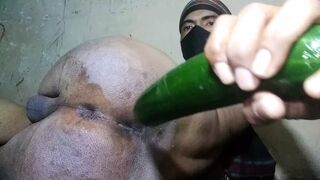 gay cucumber dildo anal sex - 1 image