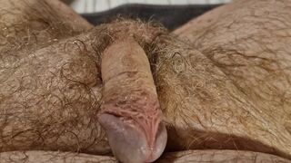 Hairier balls still and yet more hot piss action