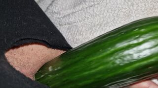 Twinks Ass Gets Fucked by Veggie
