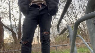 Dick flashing near strangers in town park