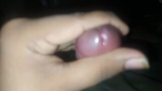 My lovely cute dig very small but I like it - 7 image