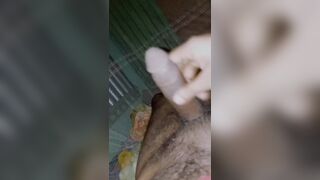 Bangladeshi teen boy dick flashing teen boy handjob alone home