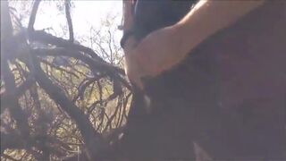 Cruising Stranger's Afternoon