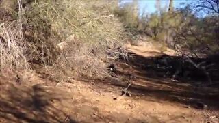 Cruising Stranger's Afternoon