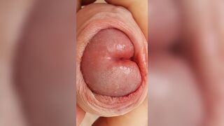 Edging, milking, foreskin play and loads of cum - 12 image