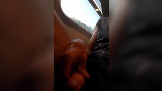 Playing on flixtrain - 5 image