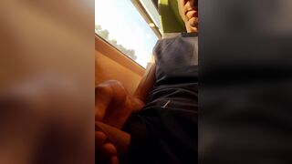 Playing on flixtrain - 6 image