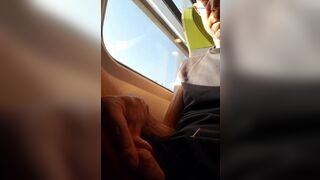 Playing on flixtrain - 7 image