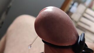 With Electric Shocks All Day Long, Daddy Cums Several Times a Day.