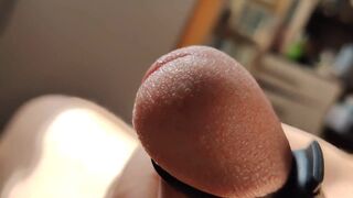 With Electric Shocks All Day Long, Daddy Cums Several Times a Day.