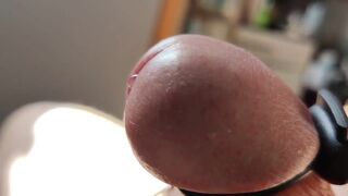 With Electric Shocks All Day Long, Daddy Cums Several Times a Day.