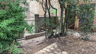 Cruising Cum Slut Gay Outdoors Blowjob Compilation with cumshots